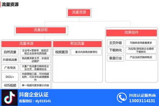抖音運(yùn)營人氣提升策略與專業(yè)咨詢支持